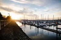 "Sunny Studio Retreat, Steps from Downtown"