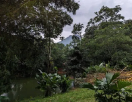 La Fortuna Arenal Volcano Cabin – Modern 2Br w/ Volcano View & Nature