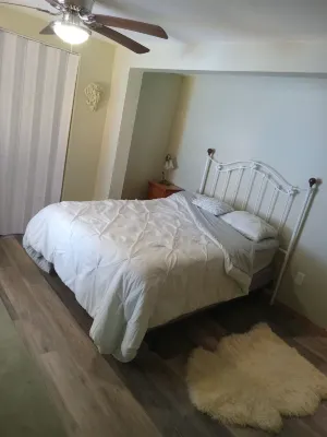 The Green House- Adorable, Chic -close to everything Hotel in zona Tampa Clearwater Air Park