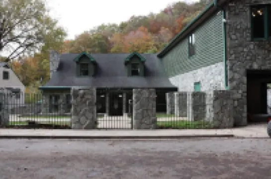 Large 4BR Buffalo Mountain Retreat in Williamson with pool,  Ride to trails