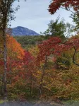 Branches Up Tree House Mountain Getaway