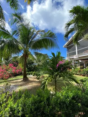 Large West Bay Beach Villa with private pool. Easy walk to beach.  Quiet oasis. Hotel a 