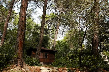 Superb Florida villa in the heart of the Alpilles