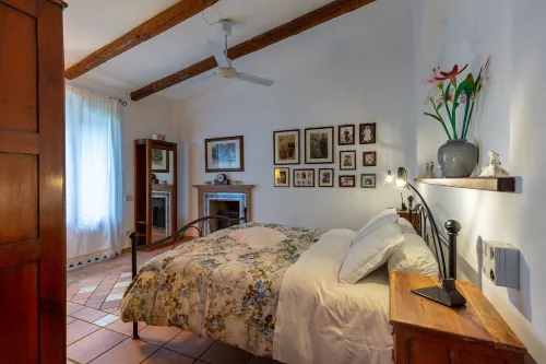 Villa Among Centuries-Old Olive Trees Just Minutes from the Sea - 2-Star
