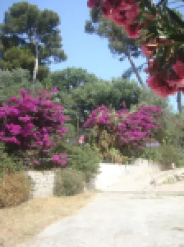 STUDIO 5 MINS FROM THE SEA AND SANDY BEACH 5 MINS FROM MARINA BAIE DES ANGES