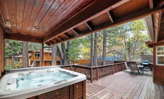 Arctic Wolf at Summit Base