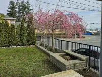 A Walk to the Harborfront