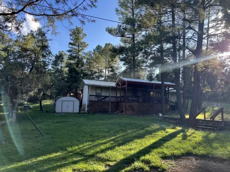 Cozy cabin in a peaceful place