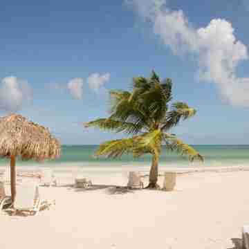 Beachfront Playa Turquesa 2 BR/2 BA Penthouse Condo W/Rooftop 50mbps WIFI Fitness & Recreational Facilities