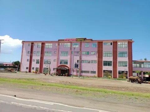 奈瓦沙紐斯特德酒店