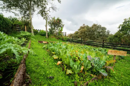 Estancia San Antonio