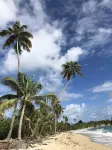 Blue Horizon Boutique Resort - de playa