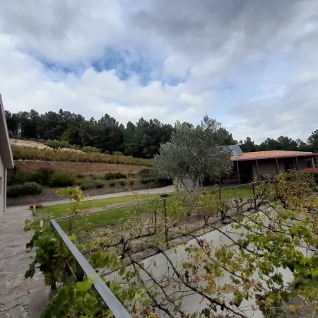 Quinta Manhas Douro