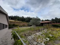 Quinta Manhas Douro Hotels in Provesende
