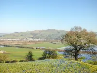 3 Hull House Cottage - Homestays
