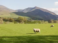 High Wreah Bolt Hole Hotels in Whitehaven