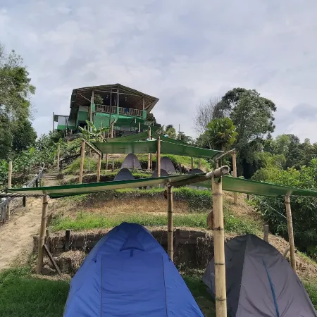 Hostal y Camping Los Girasoles