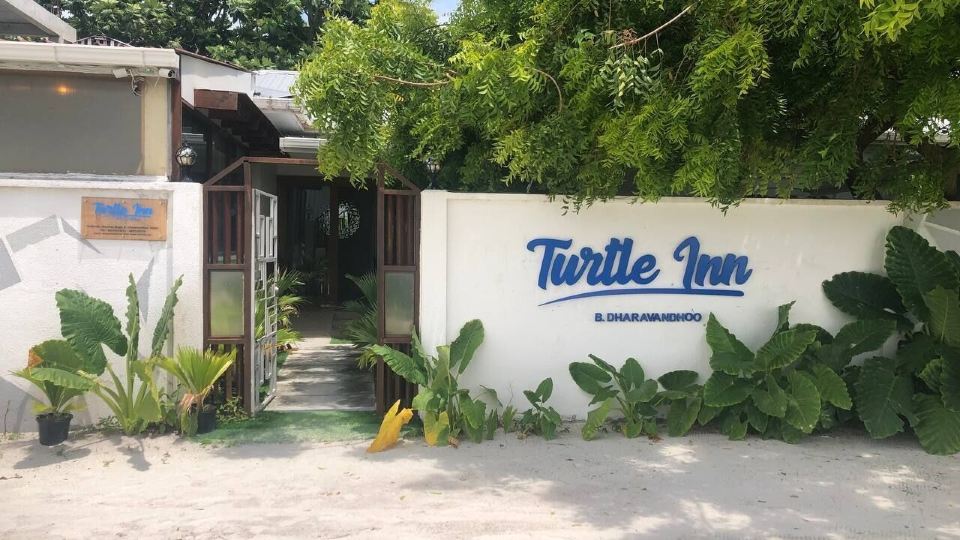 Turtle Inn Dharavandhoo