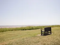 Pow-Wow Shore Cottage