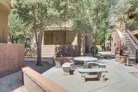 Central Tucson Condo w/ Community Pool + Hot Tub! - Condos
