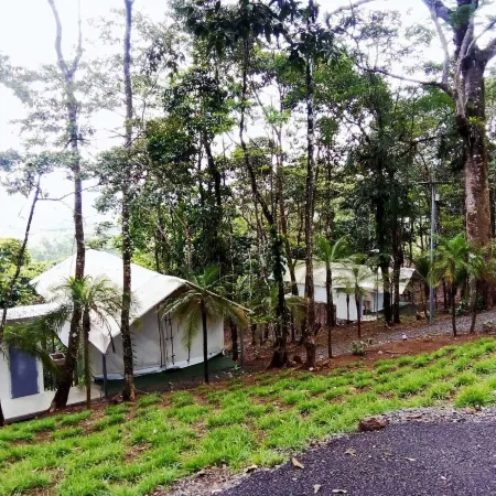 Volcano Tenorio Glamping Ranch - 3 Tents