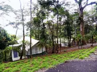 Volcano Tenorio Glamping Ranch - 3 Tents Hotels in Guatuso