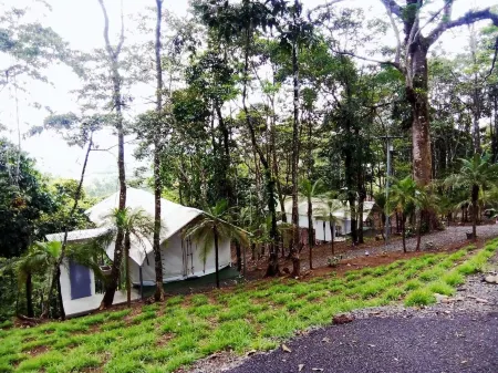 Volcano Tenorio Glamping Ranch - 3 Tents