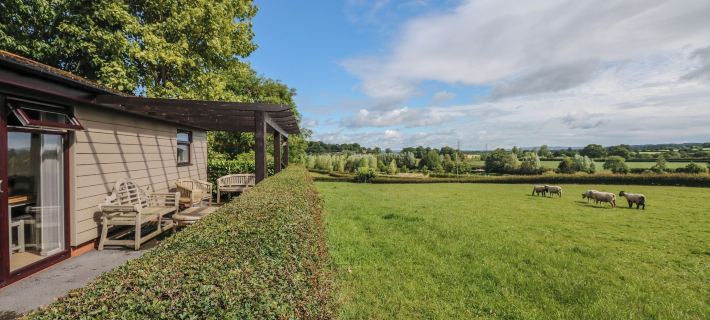 Upham View Hotéis em Exeter