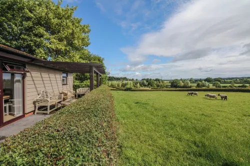 Upham View