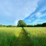 Pet-friendly Cottage at Historic Millbrook Farm Estate