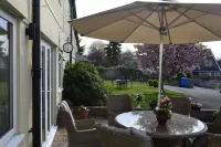 The Lawns Tea Room and B&B Hotels in Sedgemoor