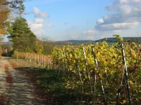 Weinstube Schwalbennest Hotels in Karlstadt