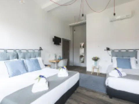 Hotel Miceli - Civico 50 Hotels near Cathedral of Santa Maria del Fiore