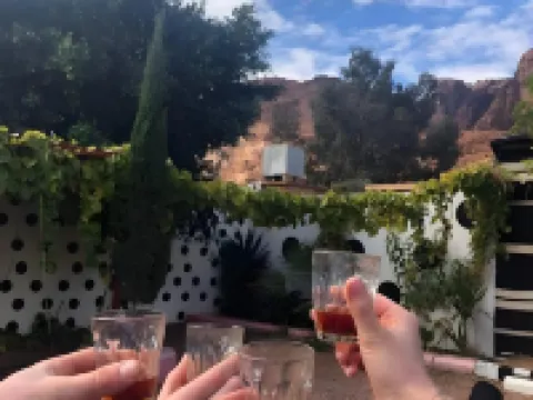 WadiRum Village Lodge Hotels in Wadi Rum