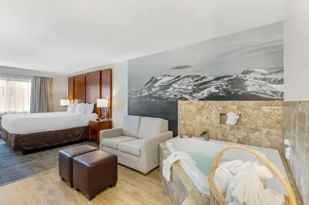 Comfort Suites Golden West on Evergreen Parkway Отели рядом с достопримечательностью «Маунт Голиат Нэчурал Арея»