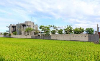 Designer House