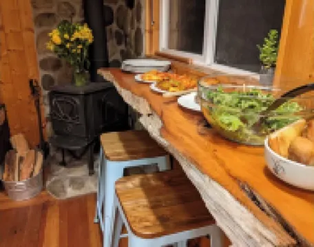 Cozy Tiny Cabin with RIVER VIEWS! Sleeps 3, hot tub, wood stove, fire pit!