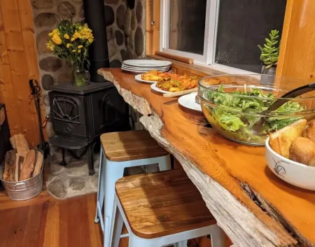 Cozy Tiny Cabin with RIVER VIEWS! Sleeps 3, hot tub, wood stove, fire pit!