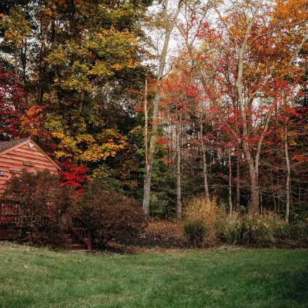 Spacious Group Stay-Pond Retreat, Fishing & Wineries Near Cville & SNP