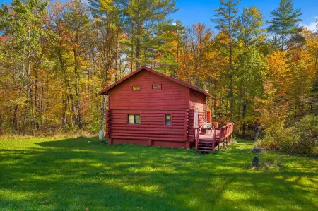 Picturesque Cabin ,Arcade, Fireplace