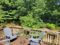 Blueberry Dune, south Holland close to Saugatuck