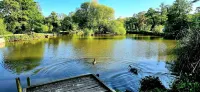 Comfort & Peace 5Berth Family Friendly Park - Homestays