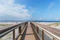 Hilton Garden Inn Orange Beach Beachfront Hotels in Orange Beach
