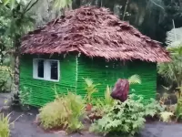 Jungle Oasis Bungalow Hôtels à : Tanna