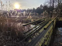 Park & Sea – Modern 4-Room Apartment in nature | Bad Zwischenahn, up to 9 Guests