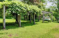 Charming family cabin in the Catskills most secret valley!