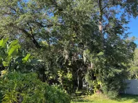 Charming 3-bedroom house with pool and hot tub in Kissimmee Hotel dekat Publix Super Market at Village Shops at Bellalago