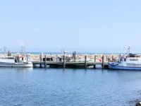 "Line" - 10m from the Sea