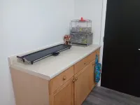 Charming House with Boat Dock in Serene Inglis, Riverfront Deep Water Gulf Acces