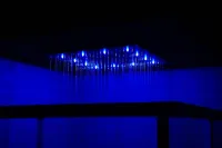 Junglia Suite - Spa & Ciné